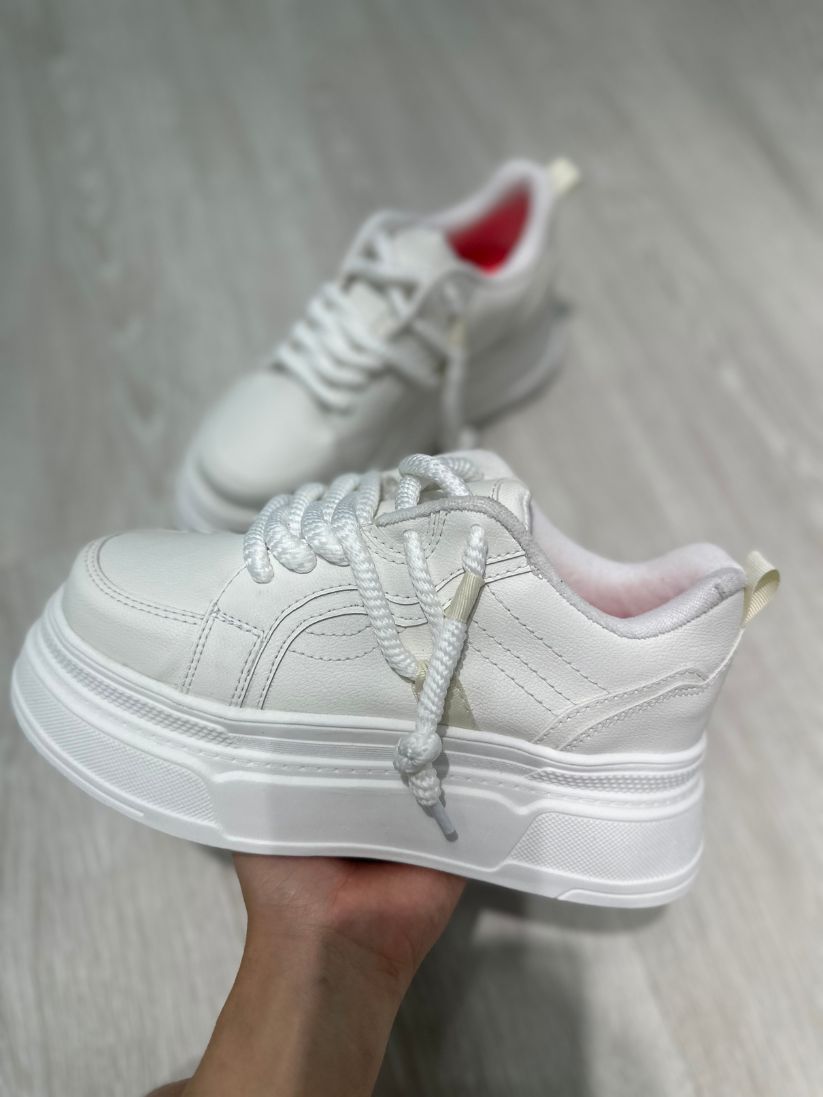 Dako blanco