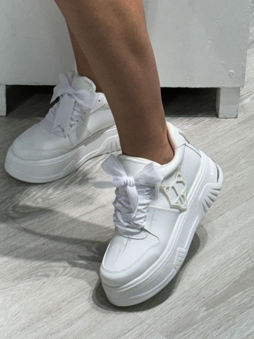 Lobo Blanco